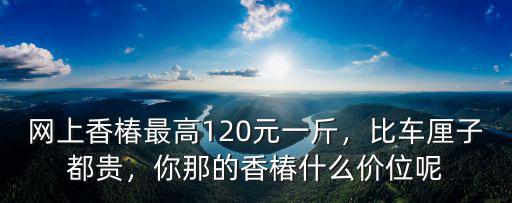 揚州香椿多少錢一斤,在你的老家香椿賣多少錢一斤