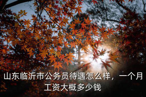 山東臨沂市公務員待遇怎么樣，一個月工資大概多少錢