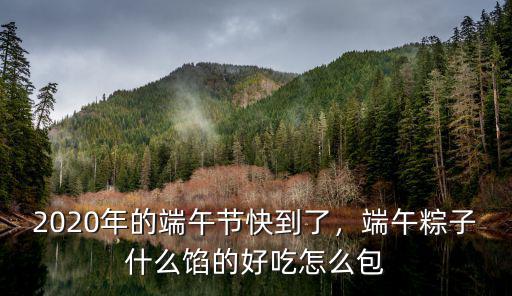 2020年的端午節(jié)快到了，端午粽子什么餡的好吃怎么包