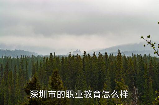 深圳市的職業教育怎么樣