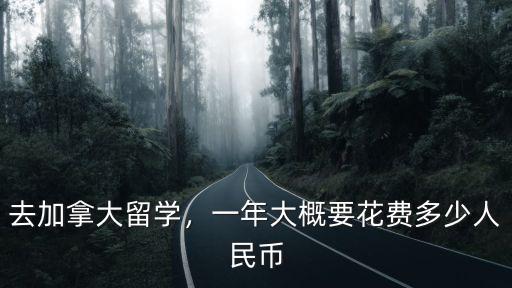 佛山辦理留學(xué)一年多少錢,去美國留學(xué)一年要多少錢