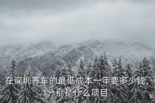 在深圳養車的最低成本一年要多少錢，分別是什么項目