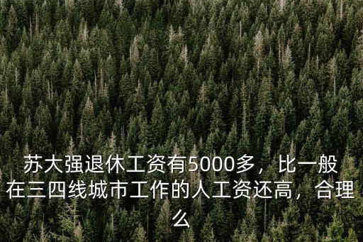 蘇大強(qiáng)退休工資有5000多，比一般在三四線城市工作的人工資還高，合理么