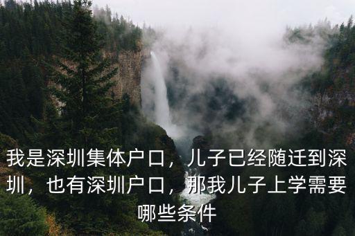 我是深圳集體戶口，兒子已經隨遷到深圳，也有深圳戶口，那我兒子上學需要哪些條件