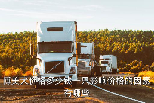 惠州大狗多少錢,博美犬價格多少錢一只