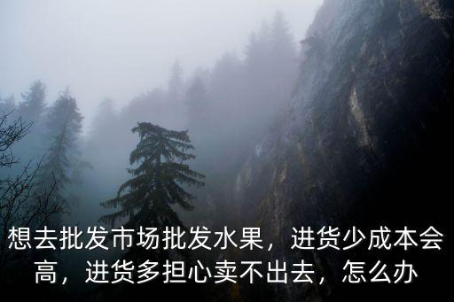 想去批發市場批發水果，進貨少成本會高，進貨多擔心賣不出去，怎么辦