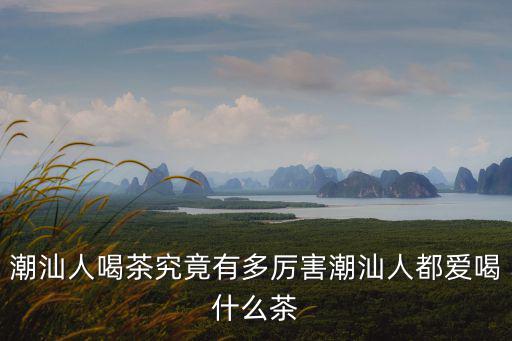 潮汕人喝茶究竟有多厲害潮汕人都愛喝什么茶