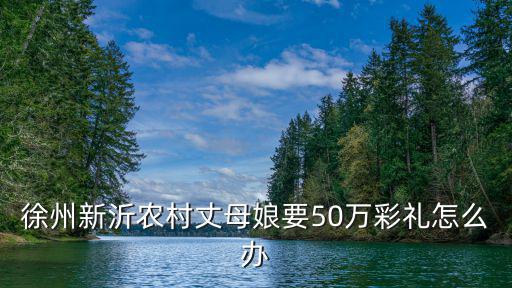 徐州新沂農村丈母娘要50萬彩禮怎么辦