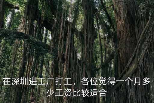 在深圳進工廠打工，各位覺得一個月多少工資比較適合
