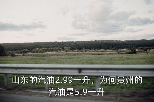 山東一升汽油多少錢一臺,山東的汽油2.99一升