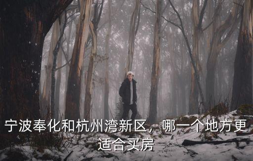 寧波前灣新區gdp是多少,寧波前灣新區房價會漲嗎