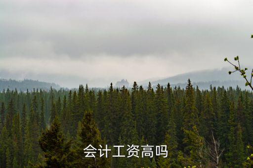 會計工資高嗎