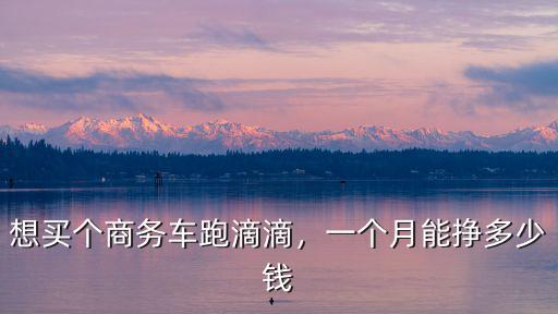 想買個商務車跑滴滴，一個月能掙多少錢