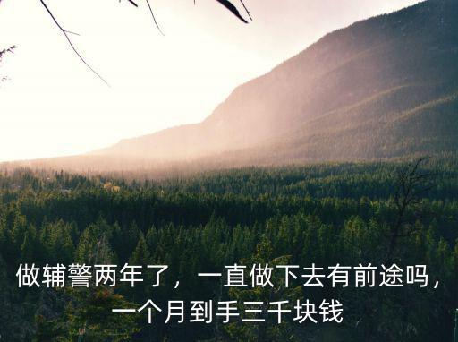 做輔警兩年了，一直做下去有前途嗎，一個月到手三千塊錢