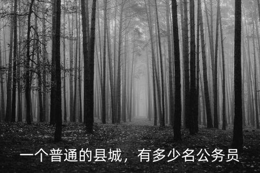 一個普通的縣城，有多少名公務員