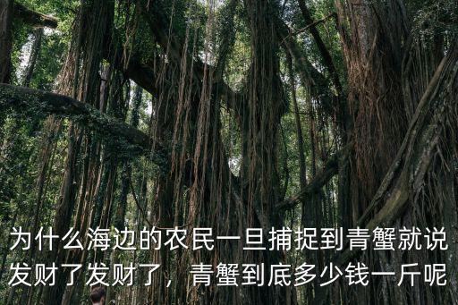 廣東沿海青蟹多少錢一斤,青蟹一斤到底能買多少錢