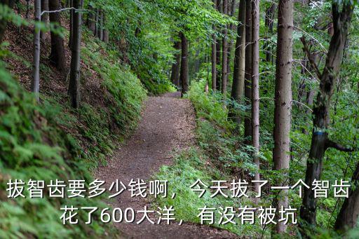 拔智齒要多少錢啊，今天拔了一個智齒花了600大洋，有沒有被坑
