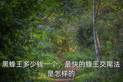 黑蜂王多少錢一個，最快的蜂王交尾法是怎樣的