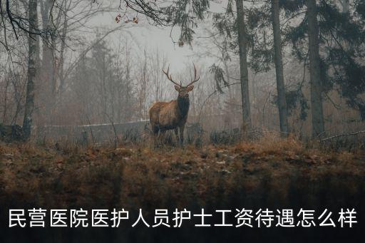 深圳外企醫(yī)院護士工資多少,一般男護士在深圳待遇怎么樣