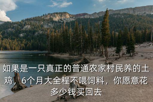 如果是一只真正的普通農家村民養的土雞，6個月大全程不喂飼料，你愿意花多少錢買回去