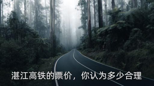 湛江高鐵的票價是多少錢,湛江高鐵的票價