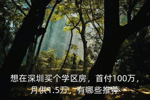 深圳首付100萬月供多少,想在深圳買個學區房