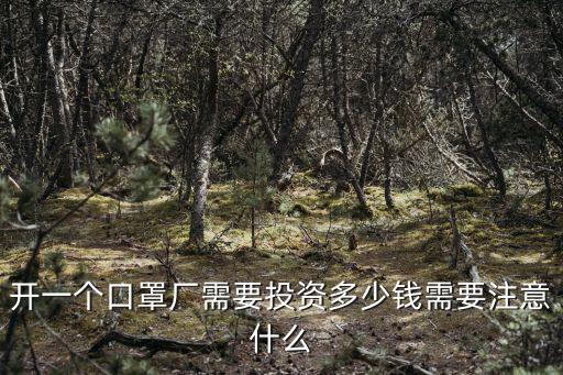 浙江力諾新廠房投資多少,開一個口罩廠需要投資多少錢