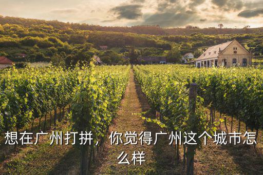 想在廣州打拼，你覺得廣州這個城市怎么樣
