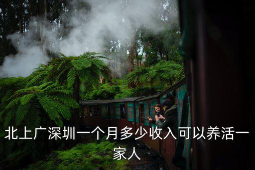 深圳普通飯店月薪多少,深圳服務(wù)員工資多少