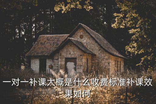 一對一補(bǔ)課大概是什么收費標(biāo)準(zhǔn)補(bǔ)課效果如何