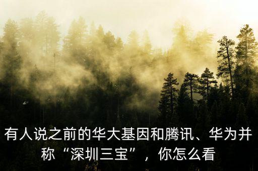 深圳華大基因在哪里有,有人說(shuō)之前的華大基因和騰訊