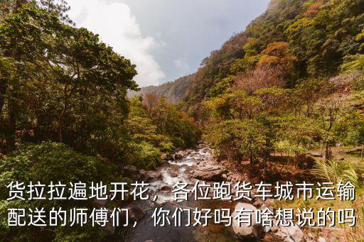 嘉興到柘城跑貨車拉拉多少錢,貨拉拉遍地開花