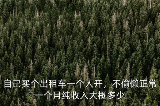 自己買個出租車一個人開，不偷懶正常一個月純收入大概多少