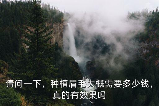 請問一下，種植眉毛大概需要多少錢，真的有效果嗎