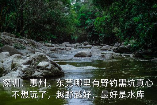深圳，惠州，東莞哪里有野釣黑坑真心不想玩了，越野越好，最好是水庫