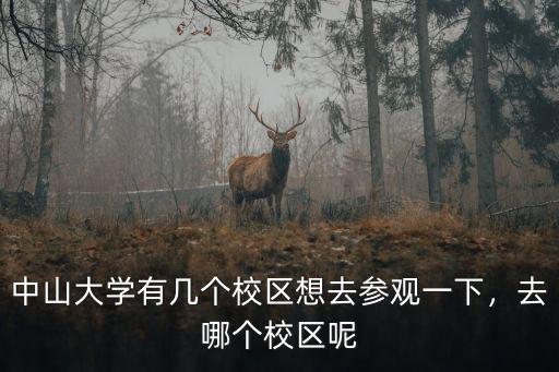 中山大學有幾個校區想去參觀一下，去哪個校區呢