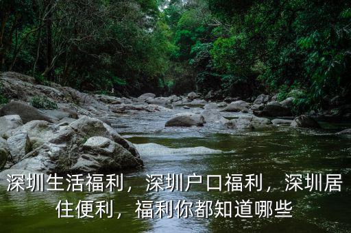 深圳天氣平時(shí)都怎么樣,深圳氣候怎么樣