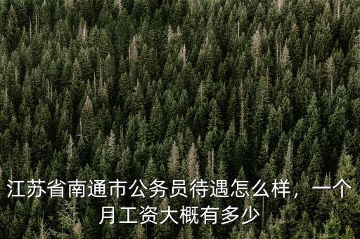 江蘇省南通市公務員待遇怎么樣，一個月工資大概有多少