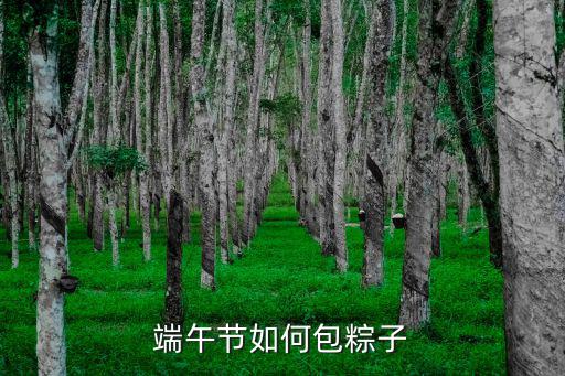 廣東端午節粽子怎么包,端午節如何包粽子