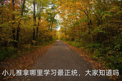 小兒推拿哪里學(xué)習(xí)最正統(tǒng)，大家知道嗎