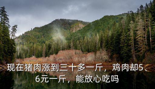 湛江徐聞家雞多少錢一斤,現在豬肉漲到三十多一斤