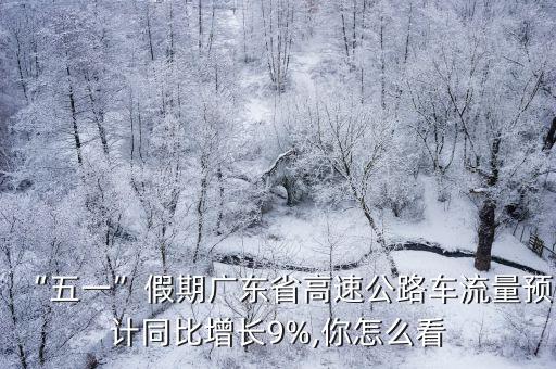 “五一”假期廣東省高速公路車流量預計同比增長9%,你怎么看