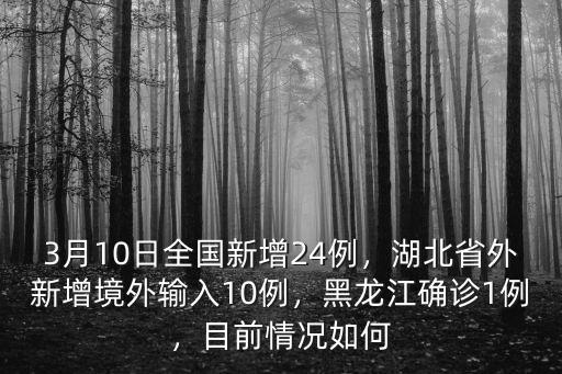 3月10日全國新增24例，湖北省外新增境外輸入10例，黑龍江確診1例，目前情況如何