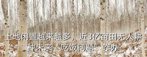 土地閑置越來越多，近3億畝田無人耕種未來“吃飯問題”咋辦