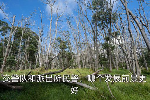 溫州派出所民警工資有多少,交警隊和派出所民警