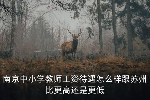 南京中小學教師工資待遇怎么樣跟蘇州比更高還是更低