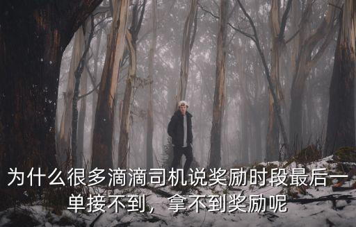 深圳滴滴司機獎勵多少,跑滴滴一個月能賺多少