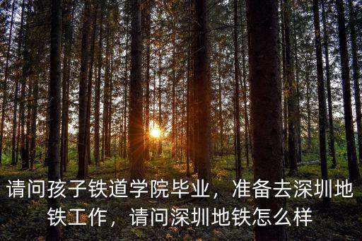 怎么去深圳地鐵上班,準備去深圳地鐵工作