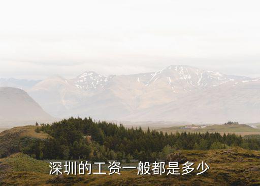 深圳的工資一般都是多少