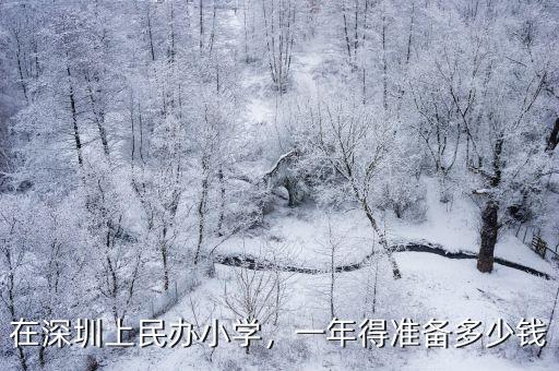 深圳私密學費一般多少錢,一般學費是多少錢